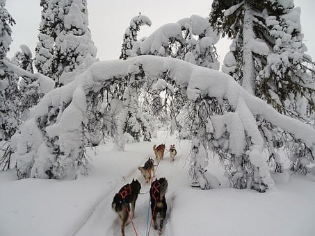 Winter Wonderland in Finnisch Lappland