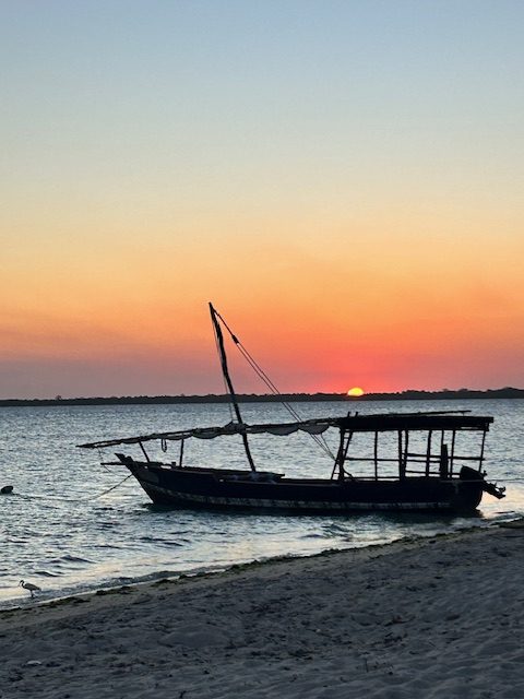 Myriam Schmitt-Martini