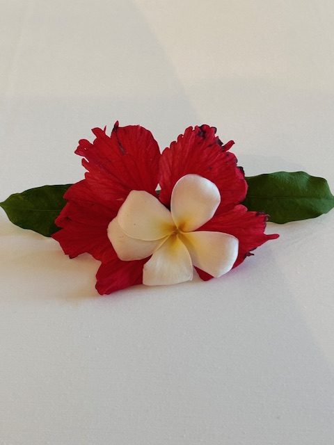 Myriam Schmitt-Martini