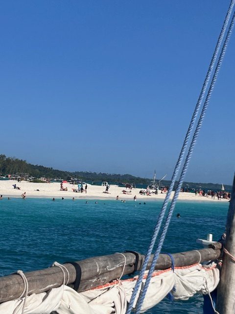 Myriam Schmitt-Martini