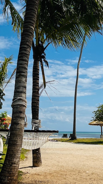 Myriam Schmitt-Martini