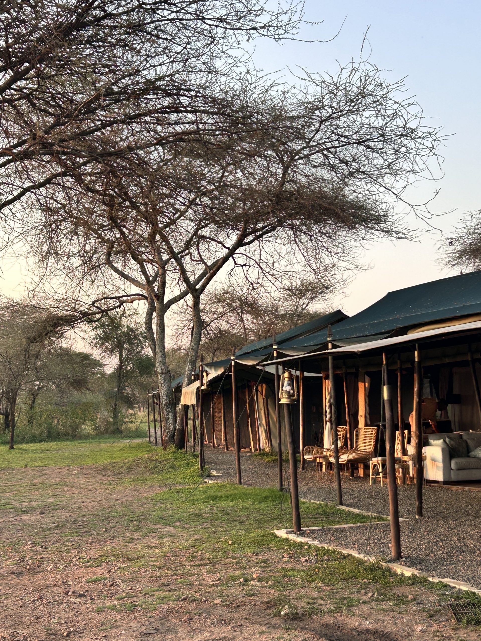 Myriam Schmitt-Martini