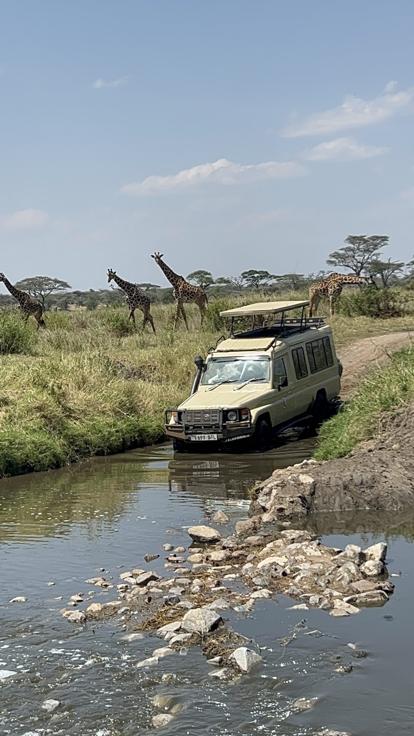 Myriam Schmitt-Martini