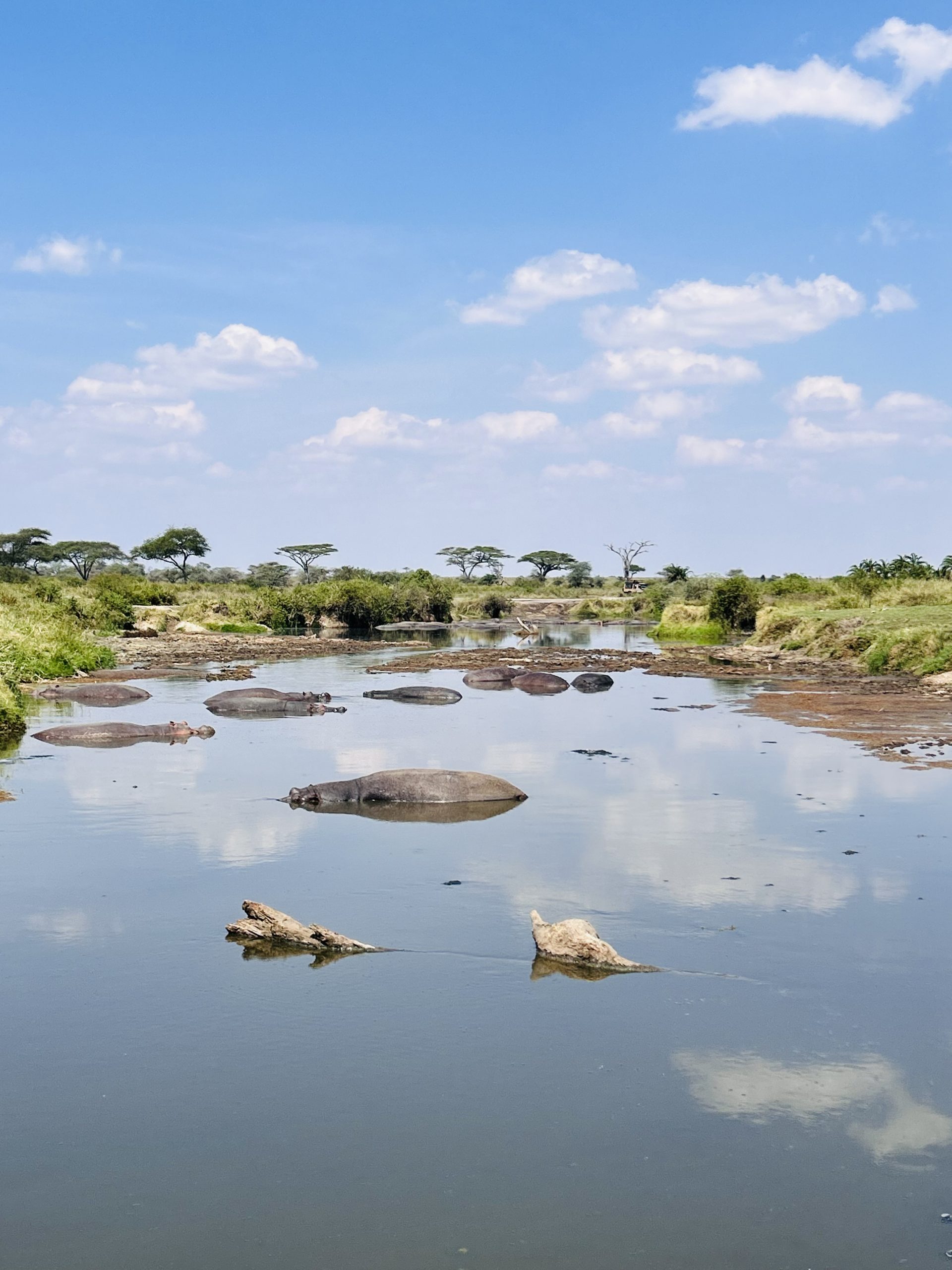 Myriam Schmitt-Martini