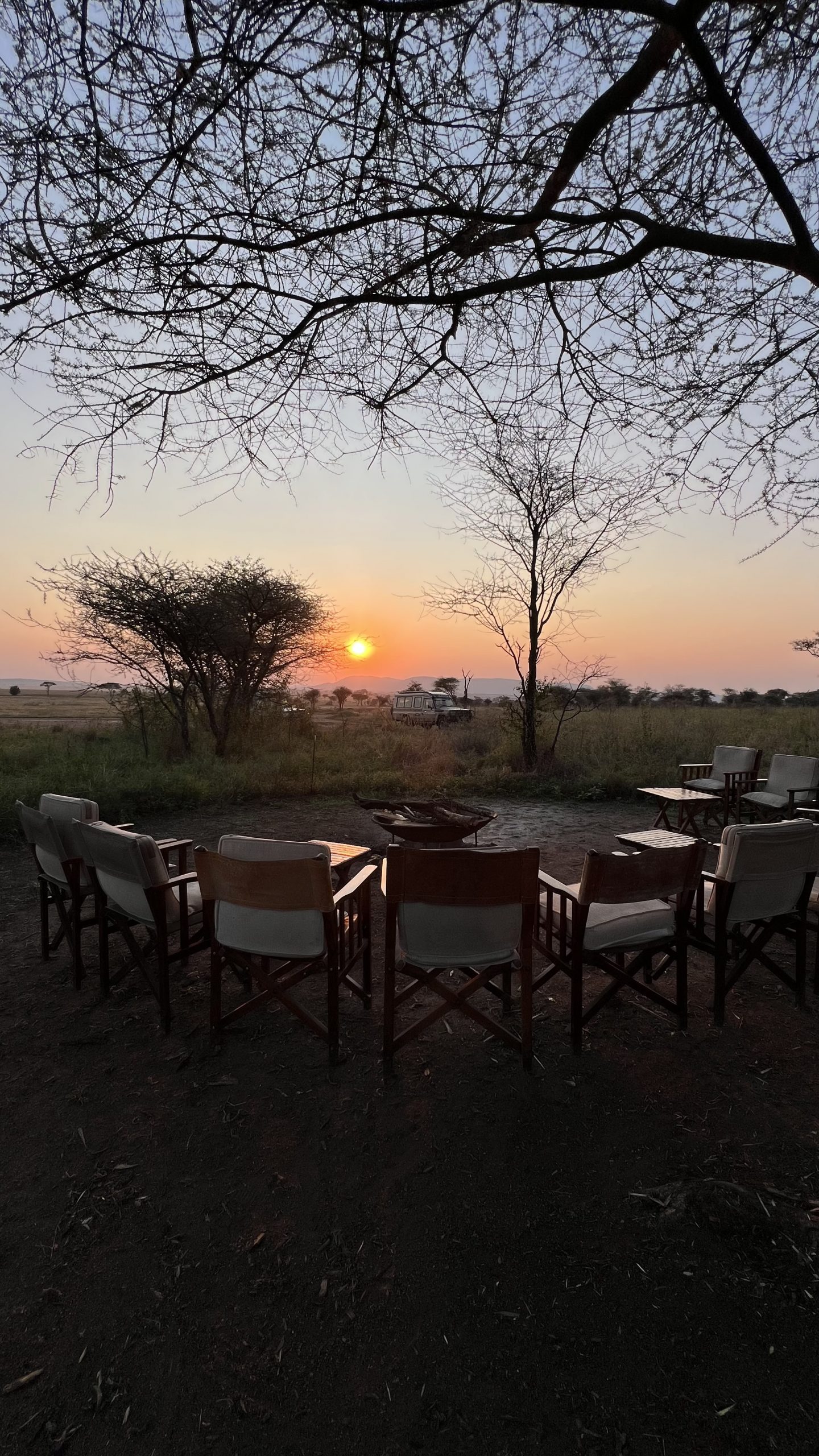 Myriam Schmitt-Martini