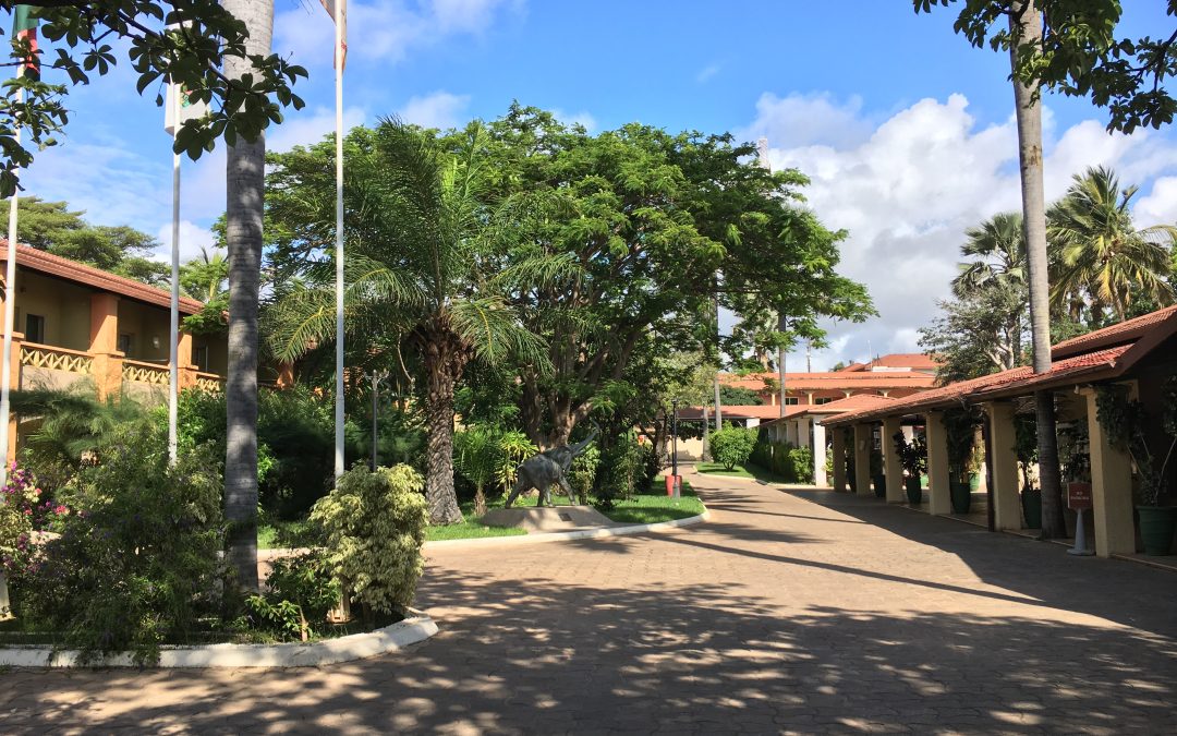 Gambia & Senegal entdecken